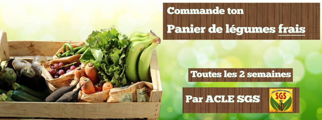 Paniers de Fruits et Légumes SGS ACLE AAEPL AEOL ELP