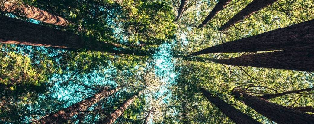 Parcours Connaissance : Centres d'Intelligence 2/4 Parcours Connaissance : Centres d'Intelligence 2/4