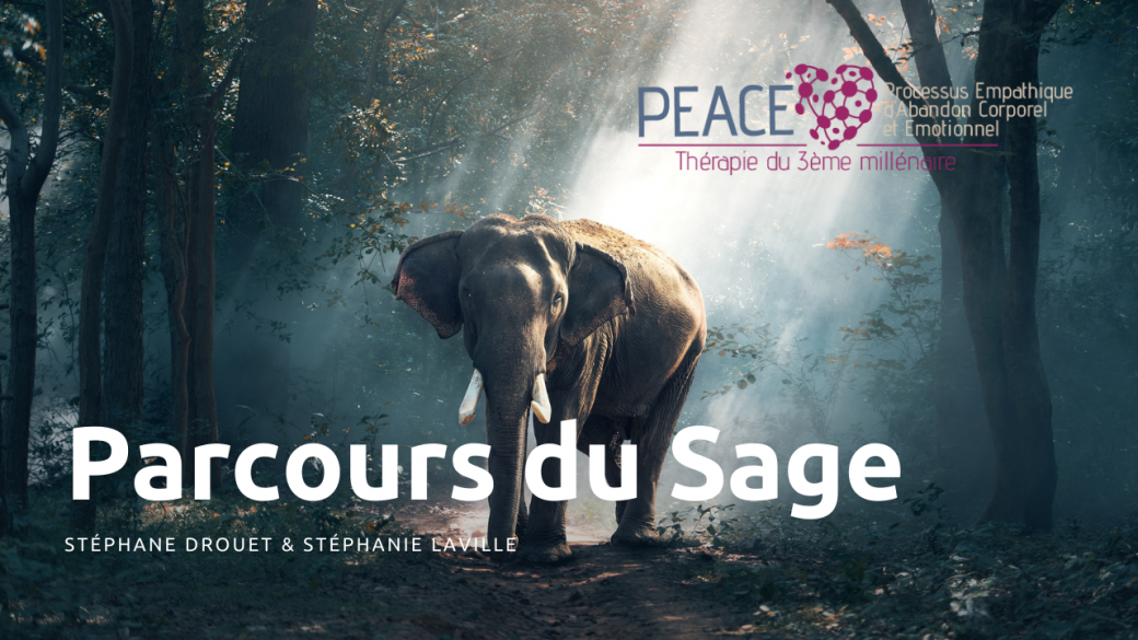 PARCOURS DU SAGE 4 - 2022 / EN LIGNE