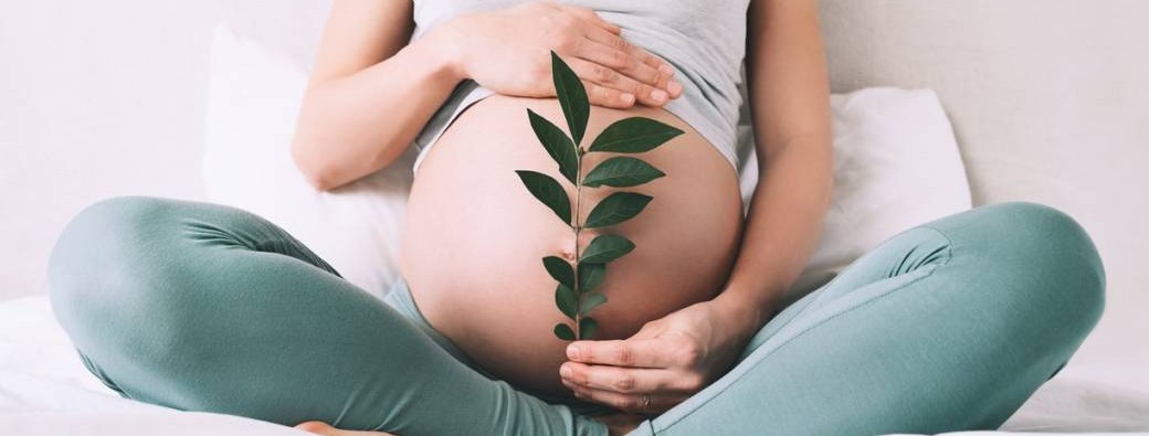 Parenthèse - Future Mam'
