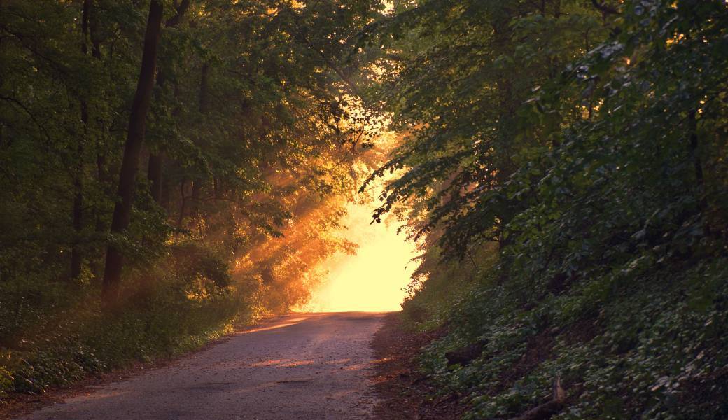 Parenthèse Développement Naturel