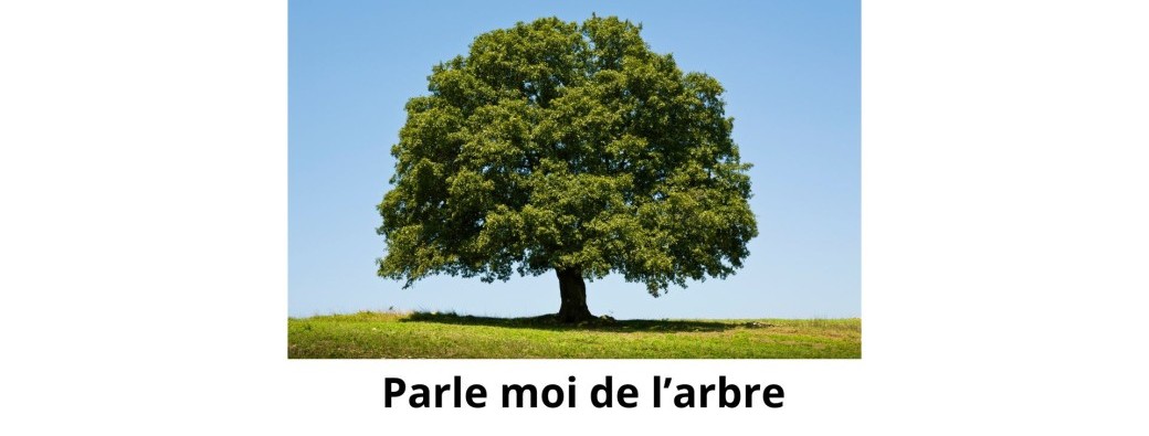 Parle moi de l'arbre