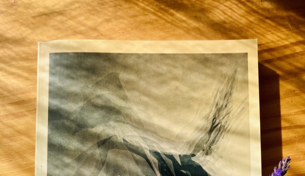 Paroles de l’Ombre - La Castratrice 
