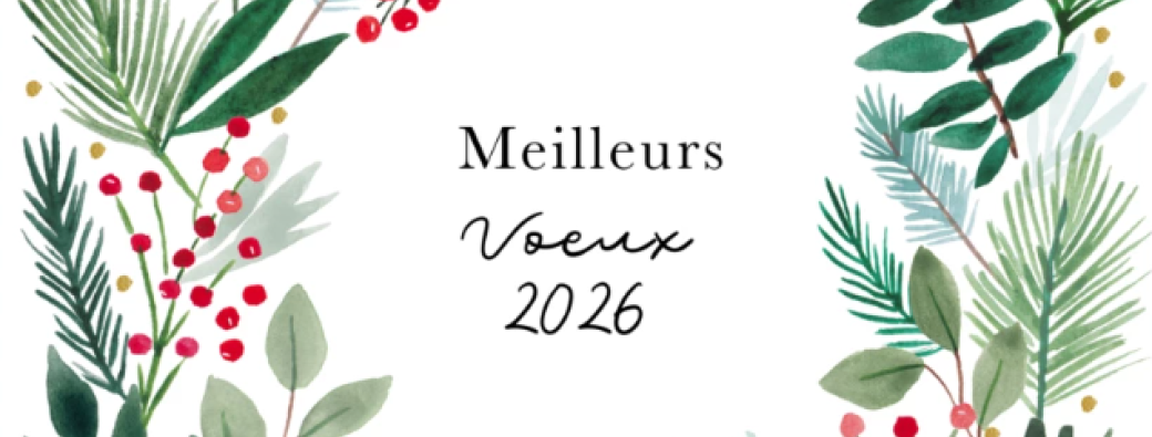 Pass Cognitif December Edition afternoon