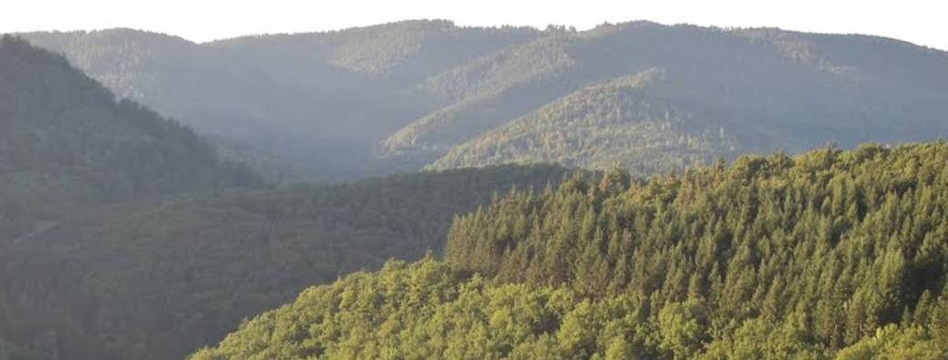 Pass Concerts aux Chandelles