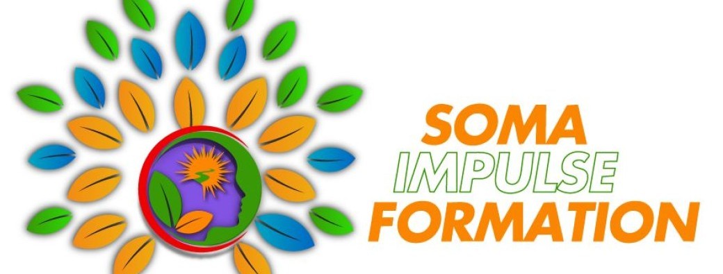 Pass : Formation Soma pulse® therapy