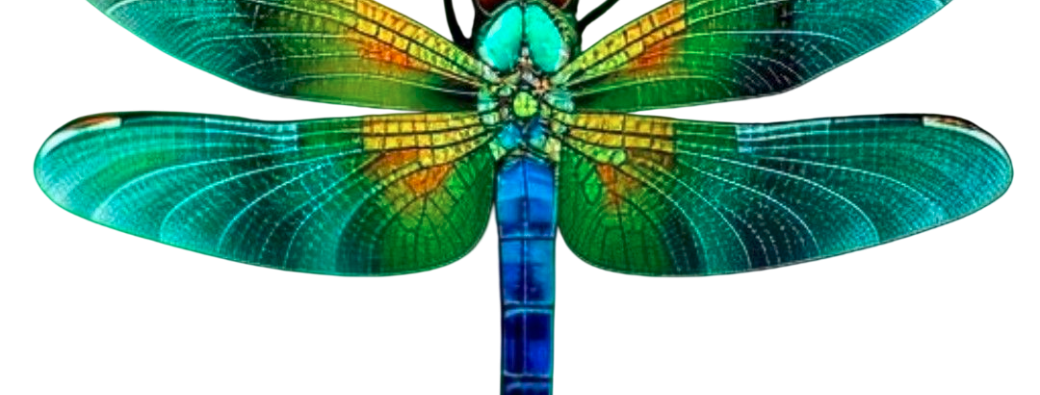 Pastel sec : papillon et libellule