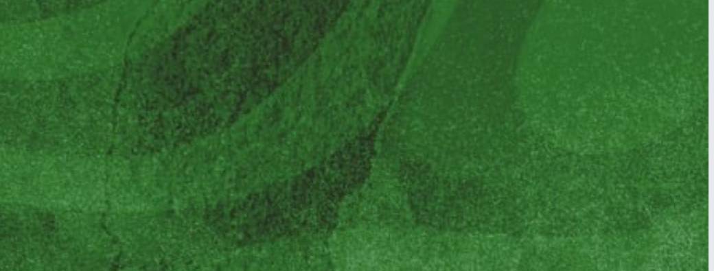 Patrick comedy club English Edition 