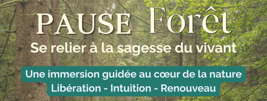 Pause en Forêt