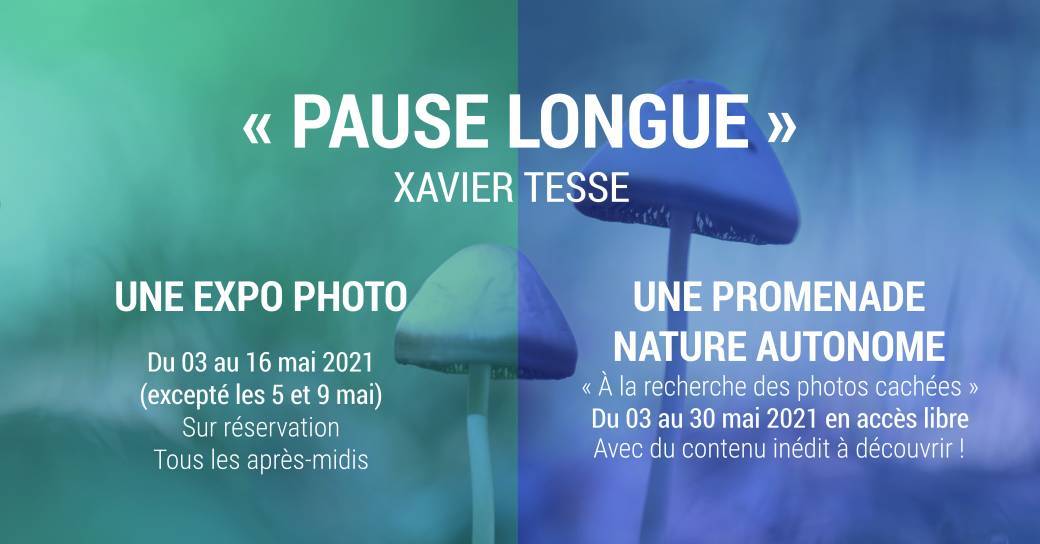 Pause longue - Xavier Tesse -  Exposition et promenade