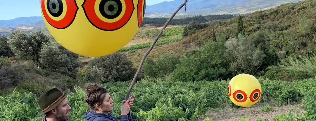 Paysage à boire - Dégustation de vin avec Anthony Duchêne