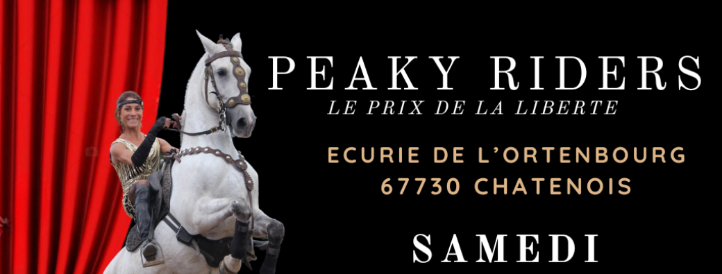 PEAKY RIDERS - le prix de la liberté