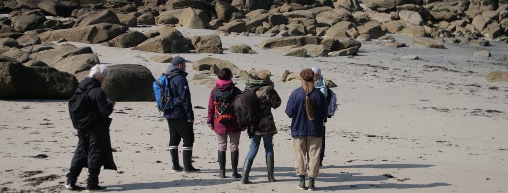 Pêche à pied nocturne à la lampe torche – Aventure au clair de lune