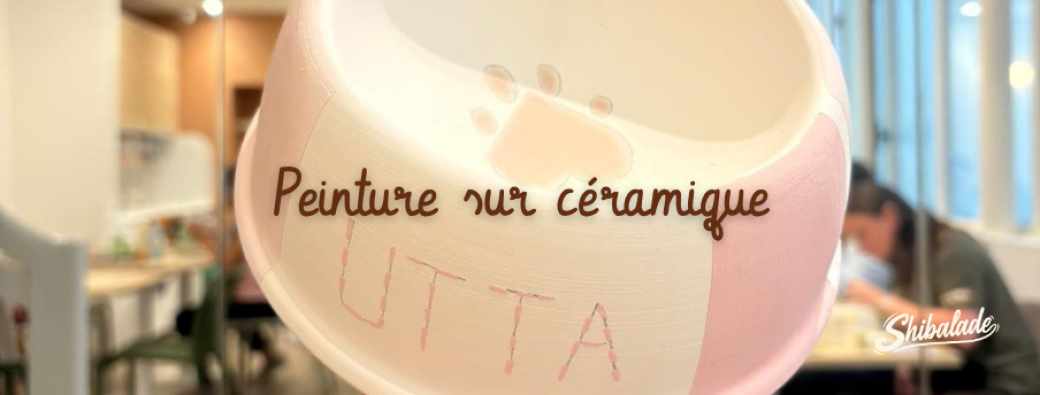Peinture céramique