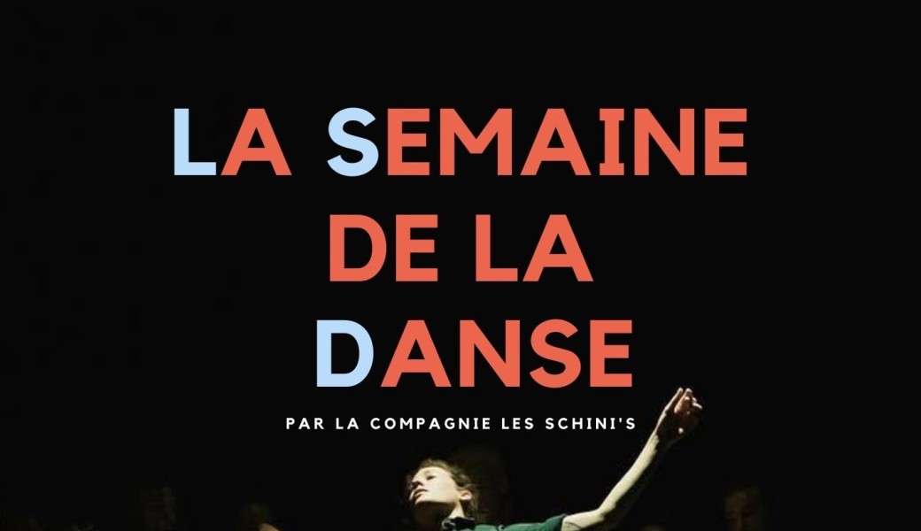 Performance / Spectacle - LSD - Bordeaux - LES SCHINI'S