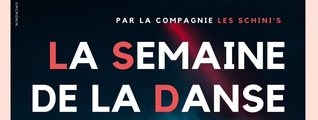 Performance / Spectacle - LSD - BORDEAUX - LES SCHINI'S