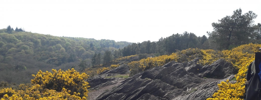 Périple en Brocéliande