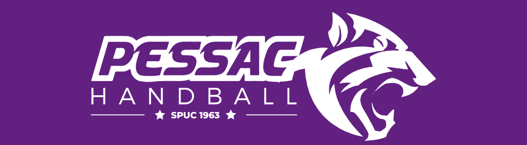 Pessac Handball (F) - La Roche Vendée Handball (F)