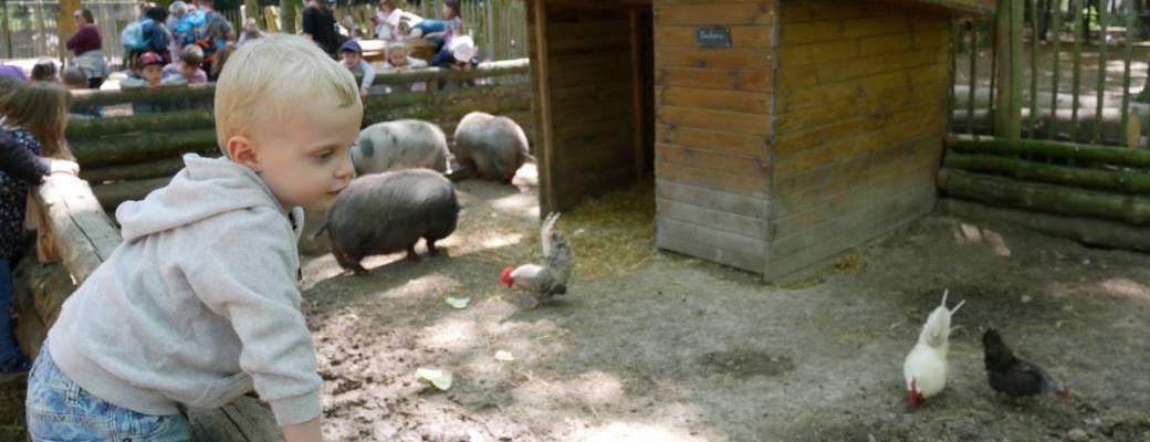Petit-déjeuner au Parc des Cytises