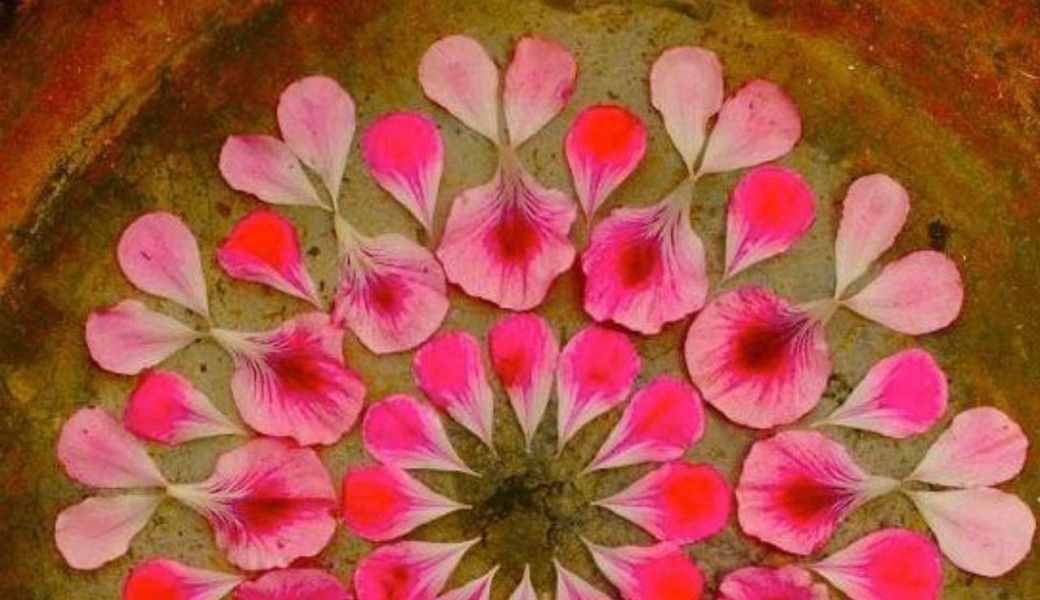 Petit déjeuner découverte des constellations familiales 