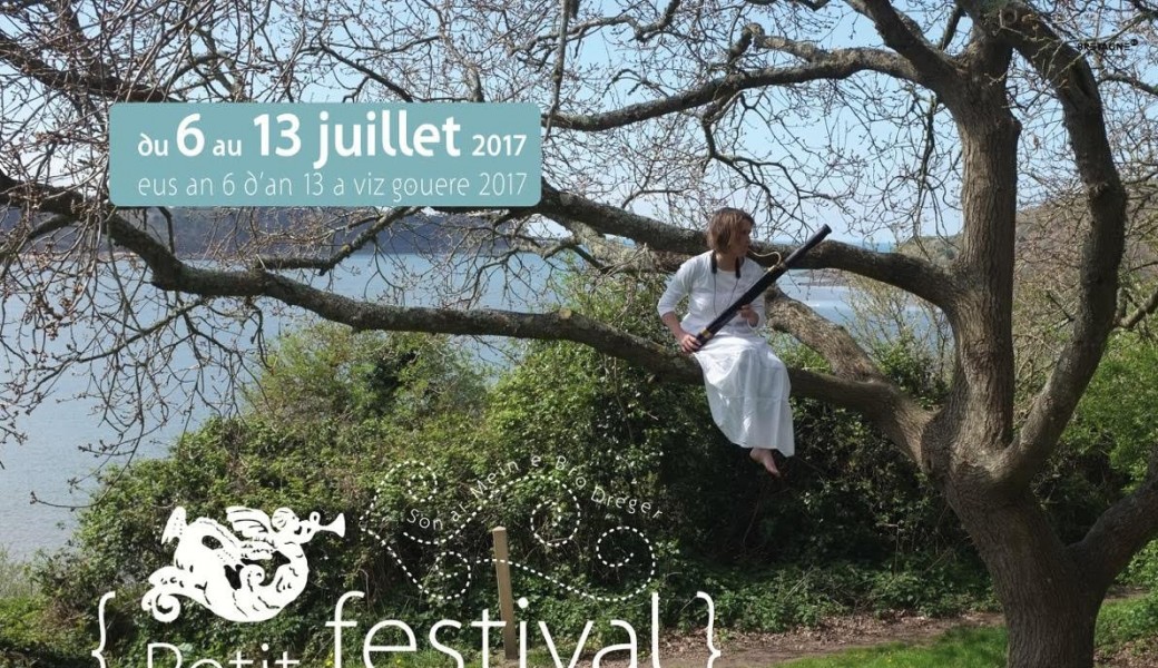 Petit festival 2017 Petit festival 2017