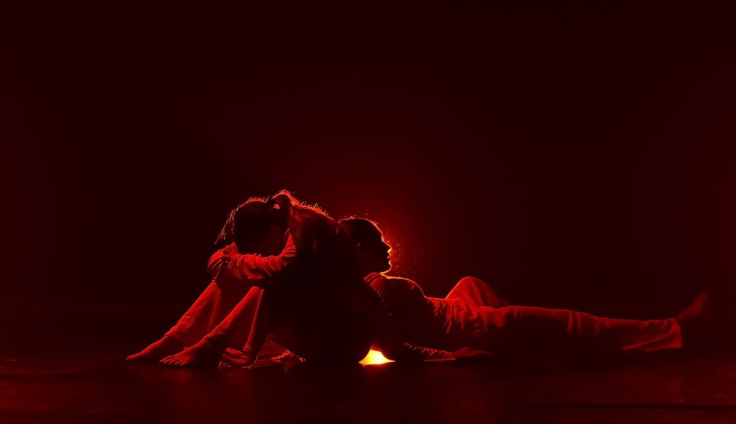 Photos du gala "Le mouvement comme partition"
