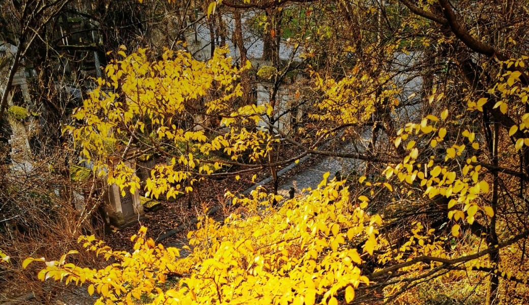balade Photo Mélancolie d'automne au Père Lachaise