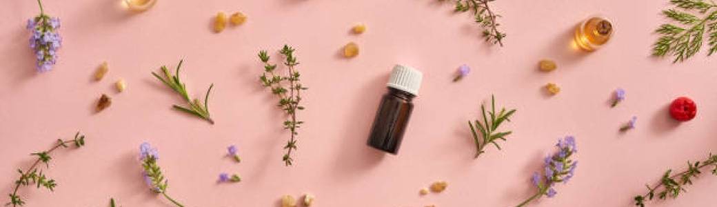 Phytothérapie, je prends soin de ma peau au quotidien