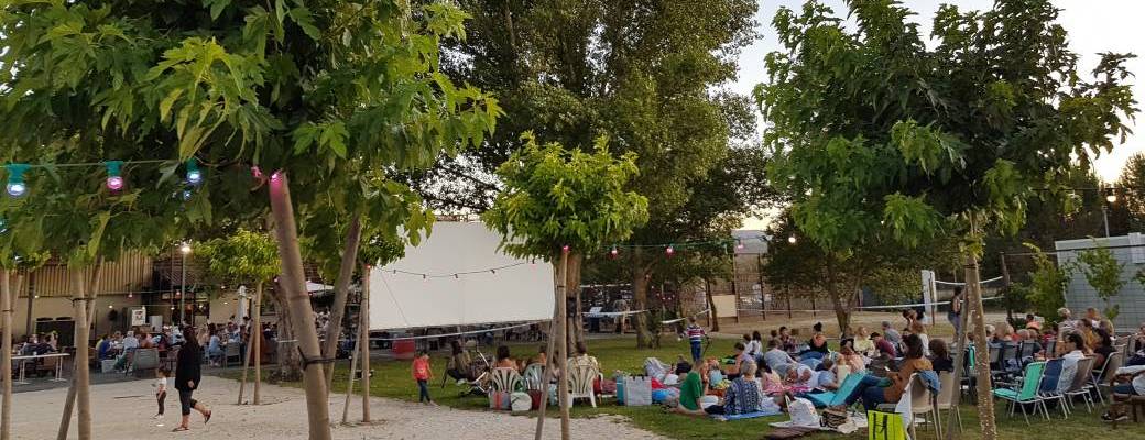 PICNIC CINE PICNIC CINE