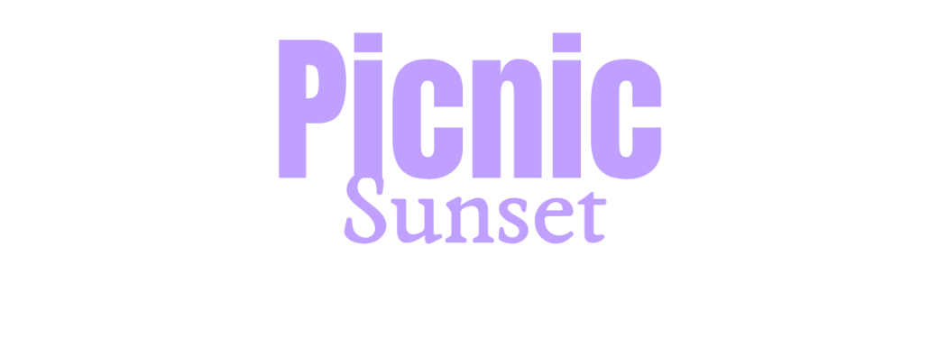 PICNIC SUNSET PRIVEE (uniquement pour le groupe qui a réservé)