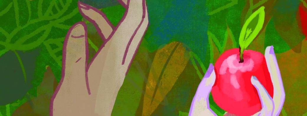 PIECE DE THEATRE : "Tues mais têtues"