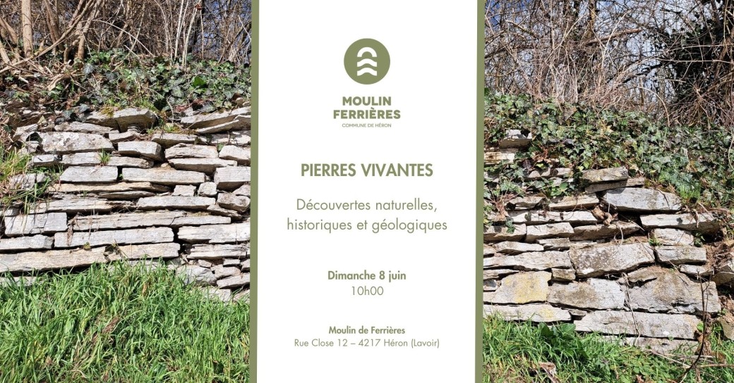 Pierres vivantes – Découvertes naturelles, historiques et géologiques