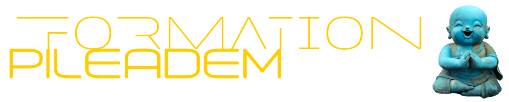 PILEADEM #2 - Paiement étalé