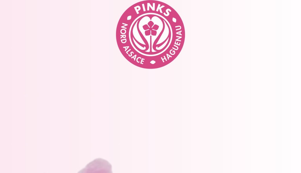 PINKS - LE POINCONNET