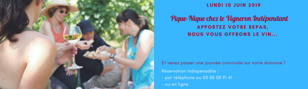 Pique-Nique chez le Vigneron