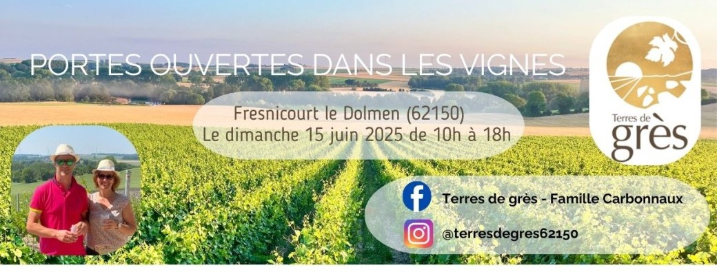 Pique-nique dans les vignes
