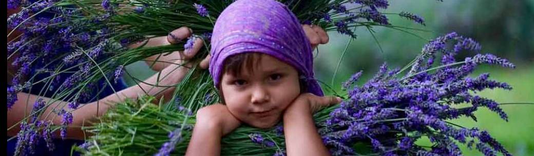 Pique-nique en violet Pique-nique en violet