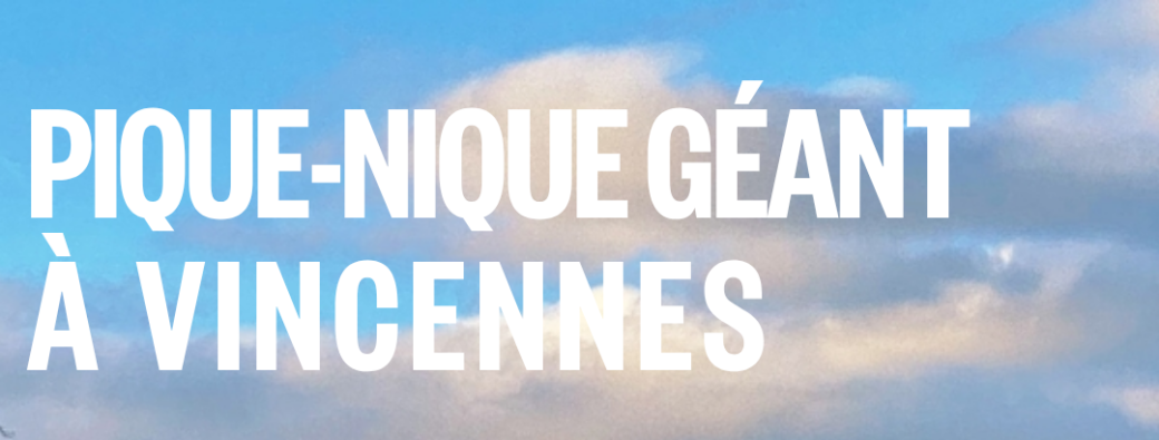 PICNIC géant à Vincennes - Retrouvailles Shalem