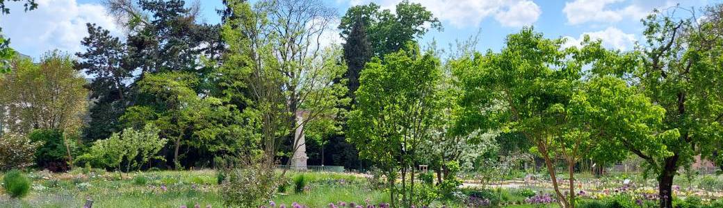 Place d'Alliance, jardin botanique, caserne Sainte-Catherine, création d'un tout nouveau quartier
