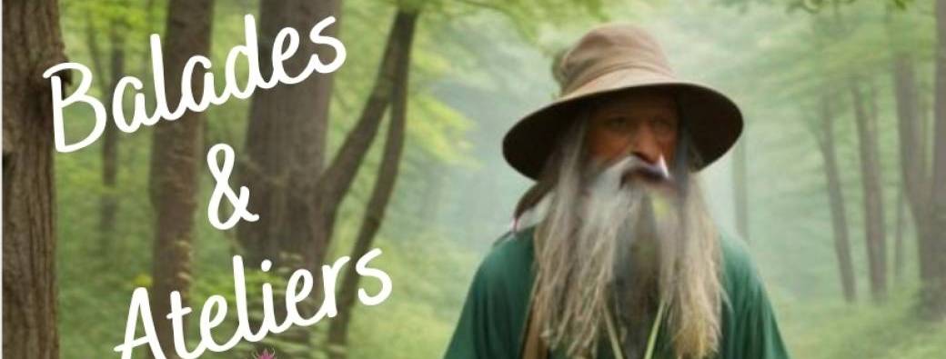 Plantes 2025 : balades et ateliers