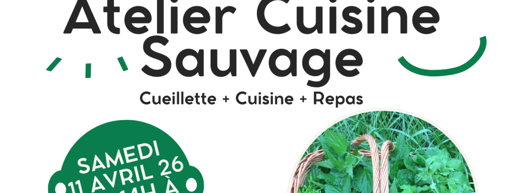 Plantes comestibles - Cuisine sauvage