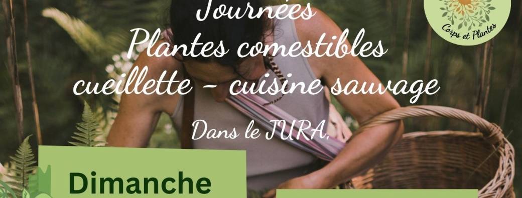 Plantes comestibles - Cuisine sauvage