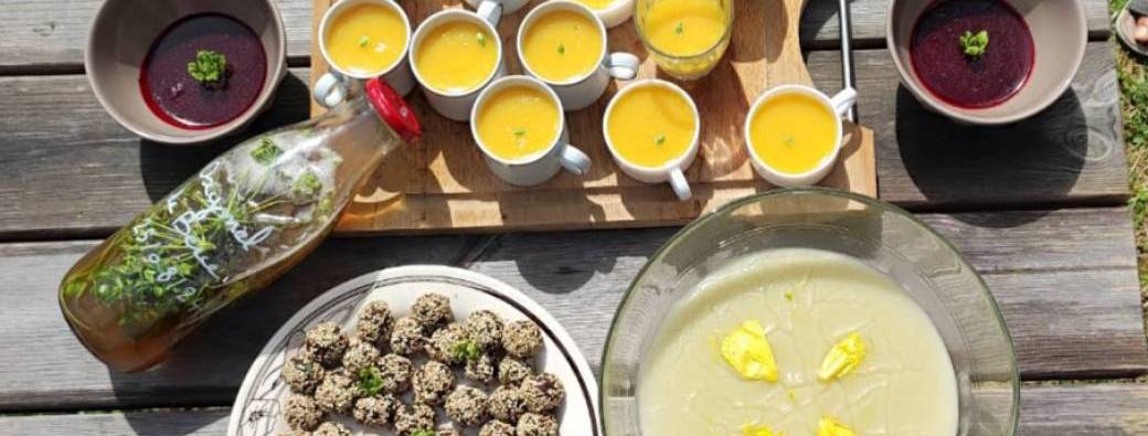 Plantes comestibles - Cuisine sauvage