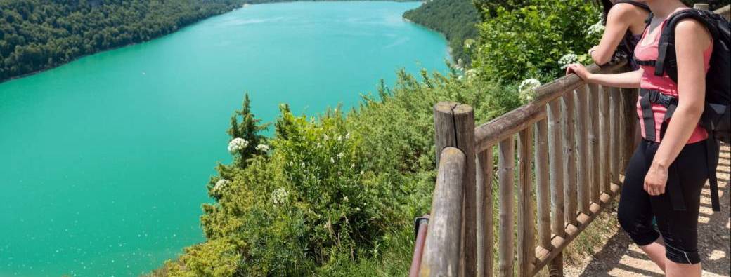 STAGE Plantes de l'été: cueillette, séchage, macérats, cosmétiques