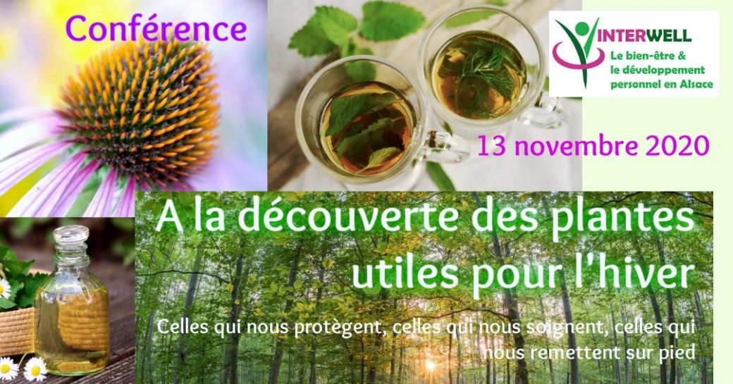 Conférence A la découverte des plantes utiles pour l'hiver