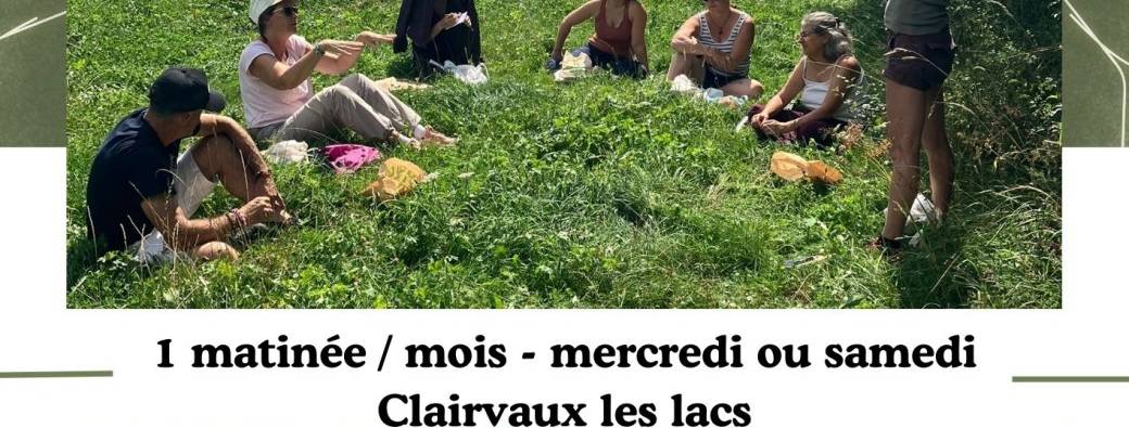 Plantes Médicinales, comestibles et toxiques: reconnaissance, cueillette, ateliers