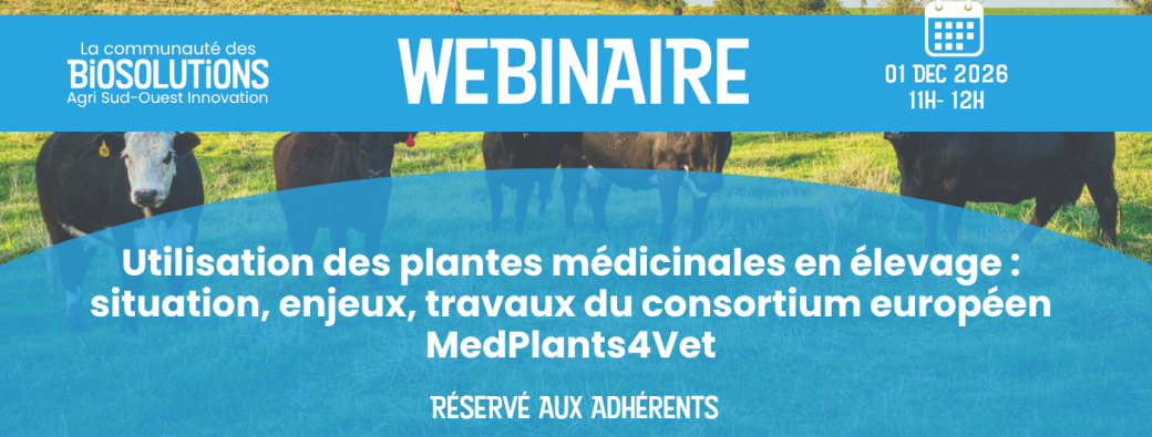  Plantes médicinales en élevage : enjeux et travaux du consortium MedPlants4Vet