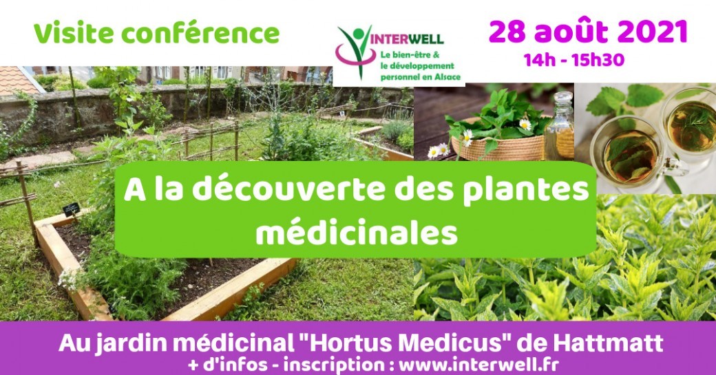 A la découverte des plantes médicinales