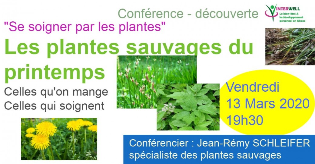 Les plantes sauvages du printemps, se soigner par les plantes