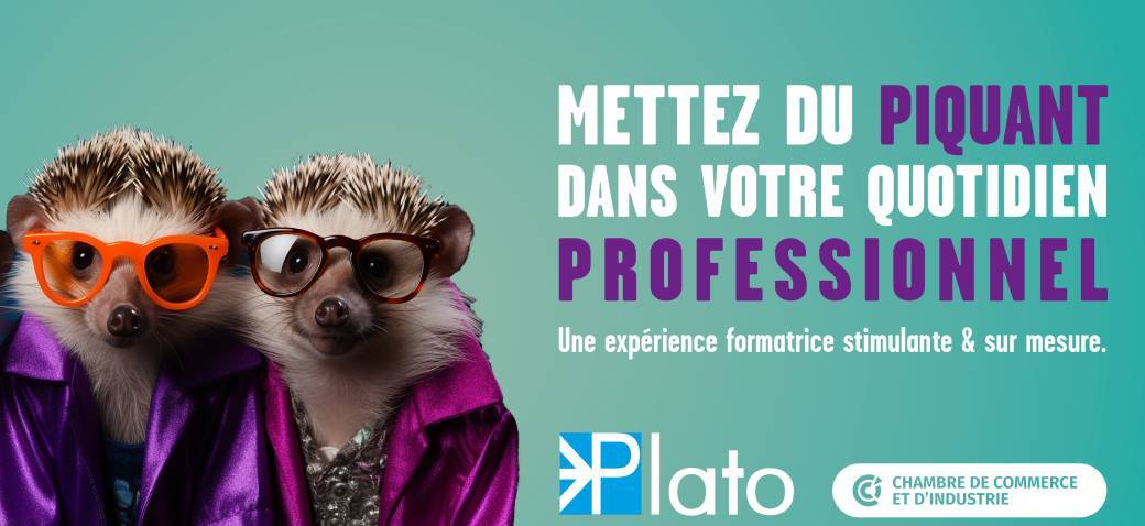 PLATO : La formation collaborative pour les dirigeants / cadres à responsabilité